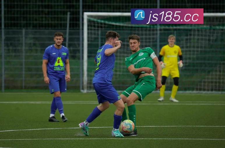 澳门金沙娱乐网址平台生态图